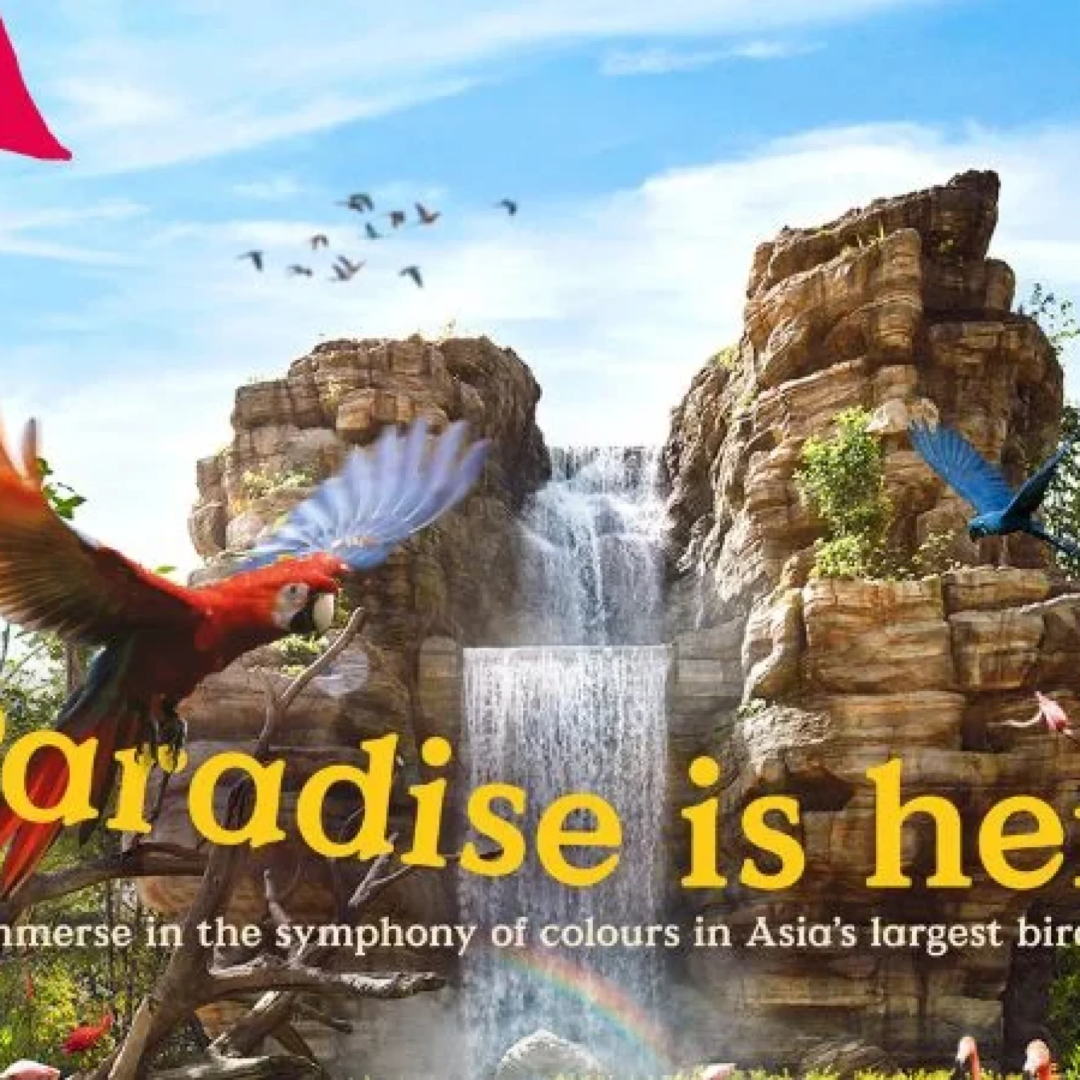 Bird-Paradise-Singapore