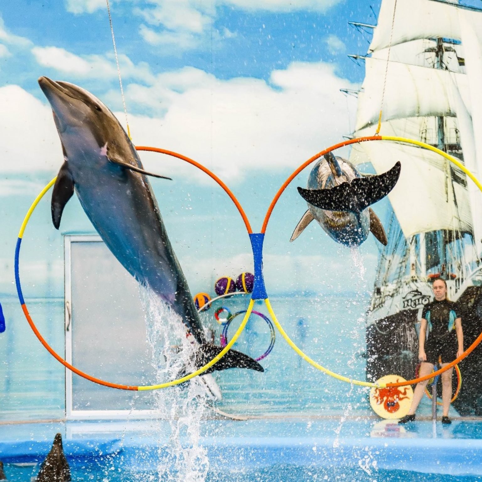 Dolphins-Bay-Phuket-Thailand