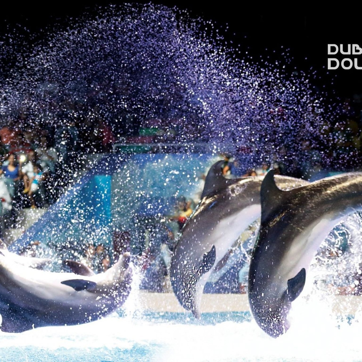 Dubai Dolphinarium