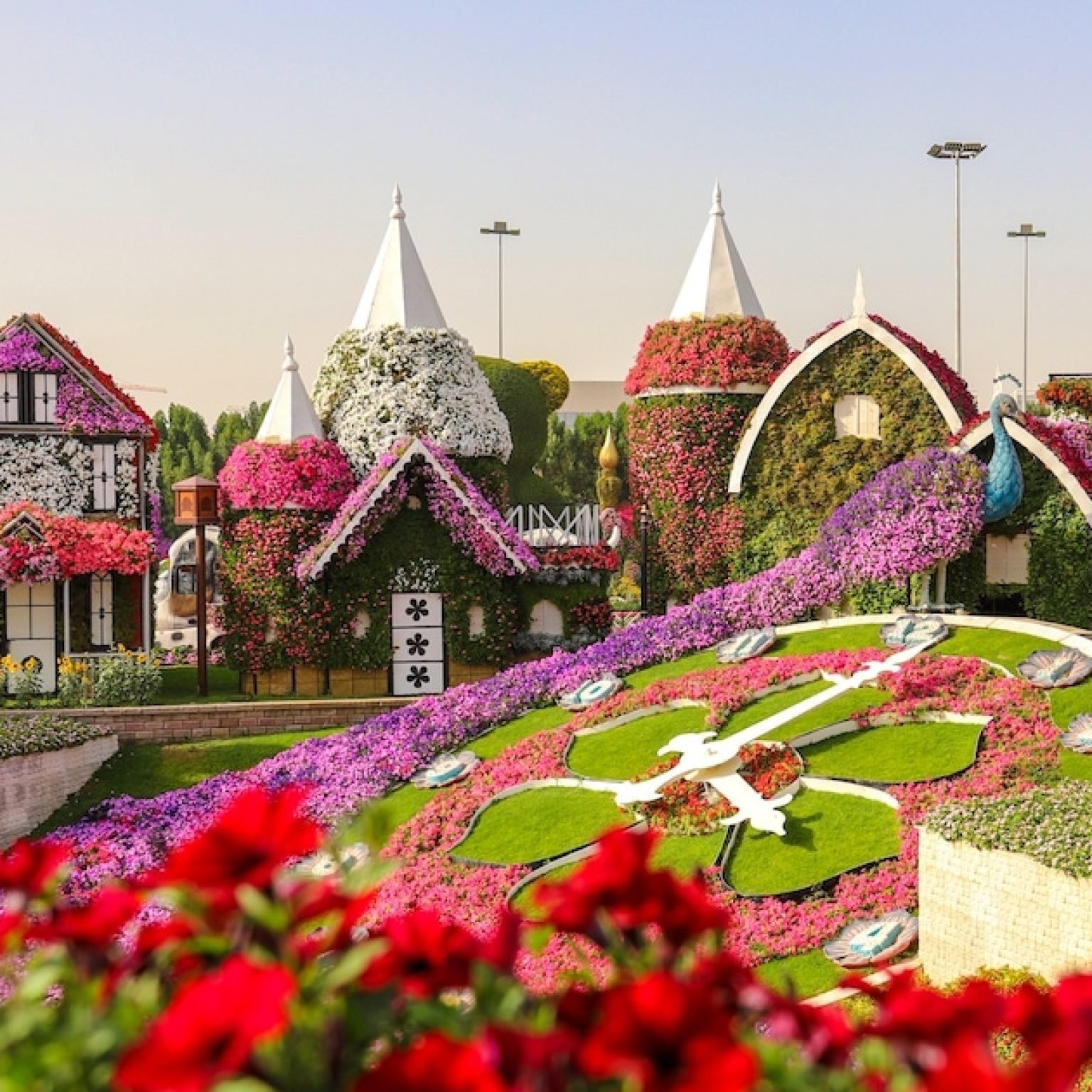 Dubai-miracle-garden