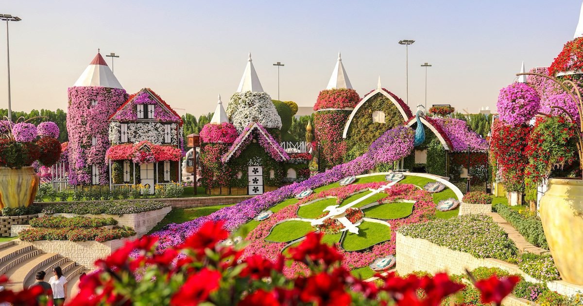 <span>Day 05</span>Miracle Garden