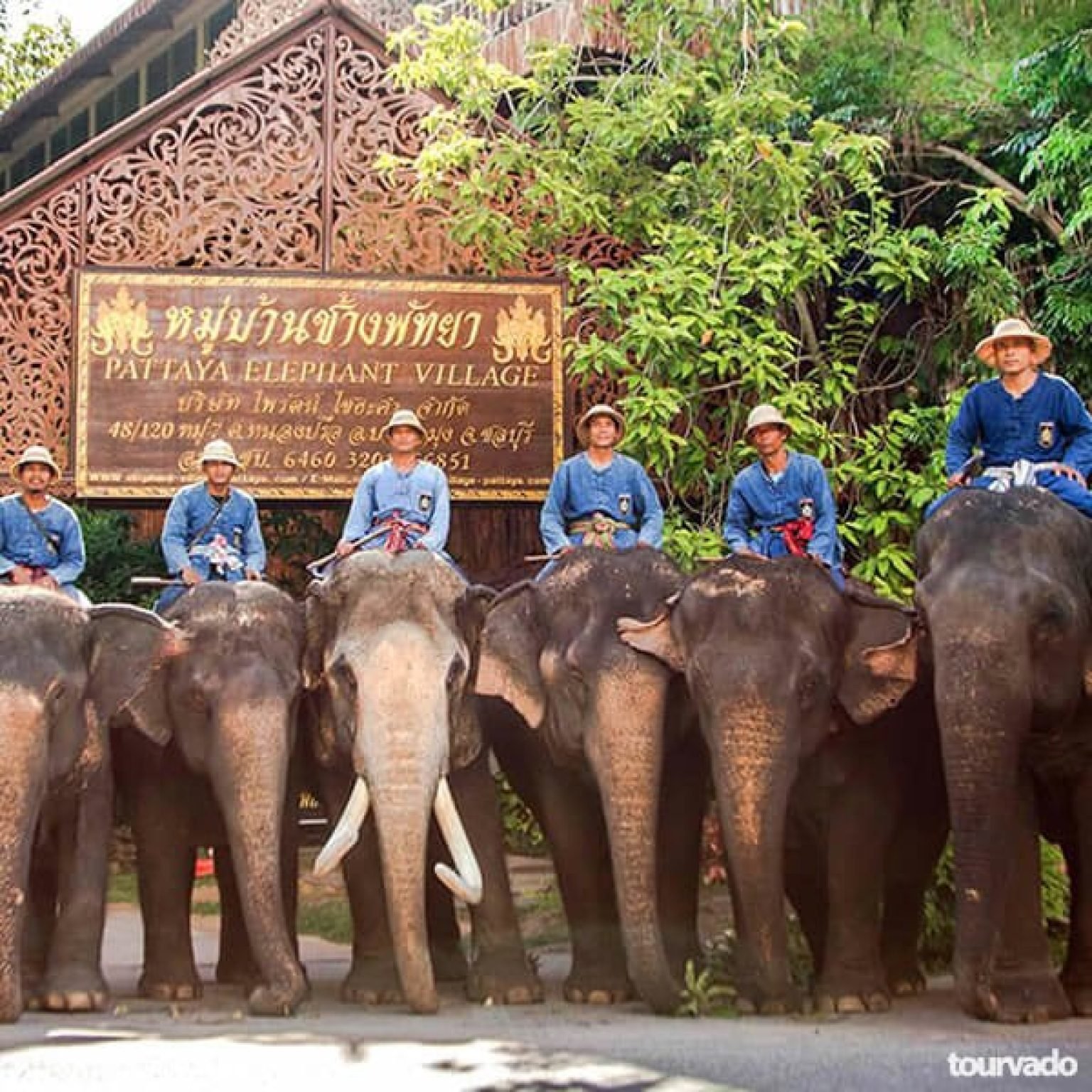 Elephant-Village-Tour-in-Pattaya-Thailand