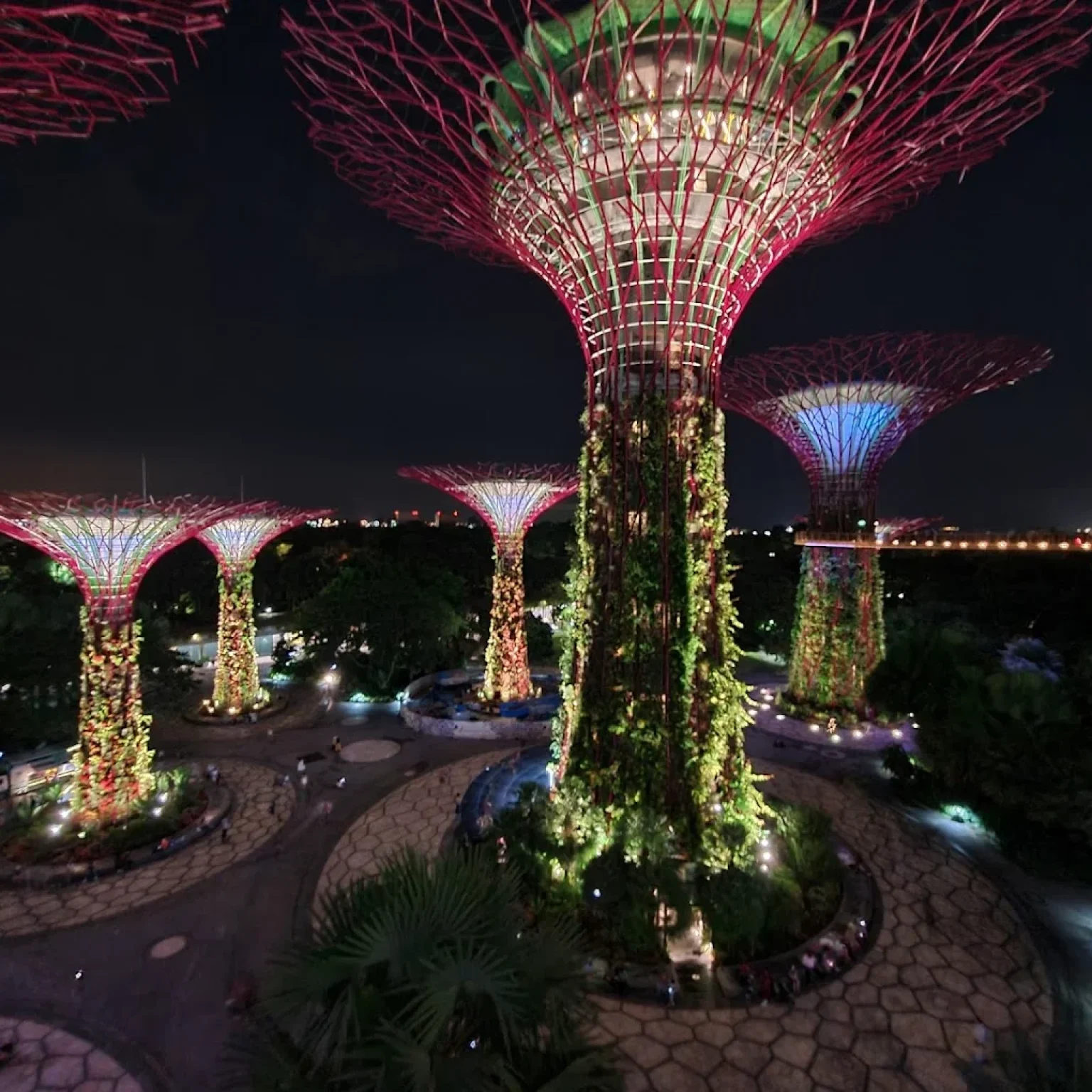 Gardens-by-the-bay-Singapore