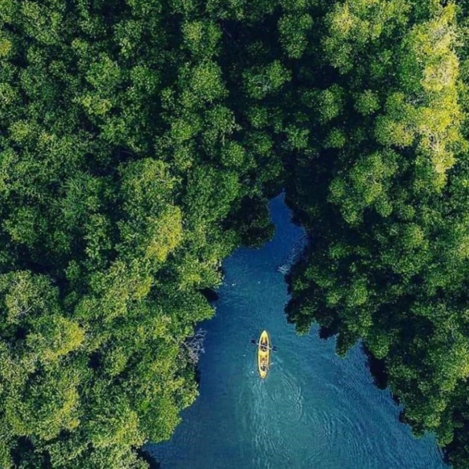 Madu-river-ganga-srilanka