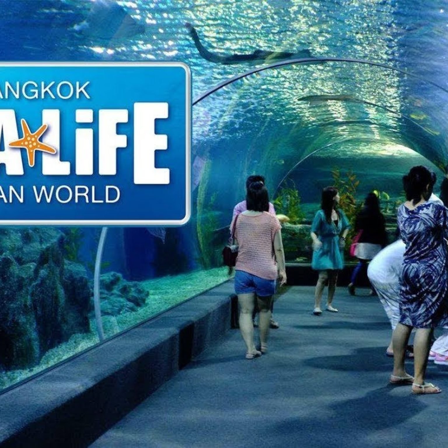 Sea Life Ocean World Aquarium-Bangkok-Thailand