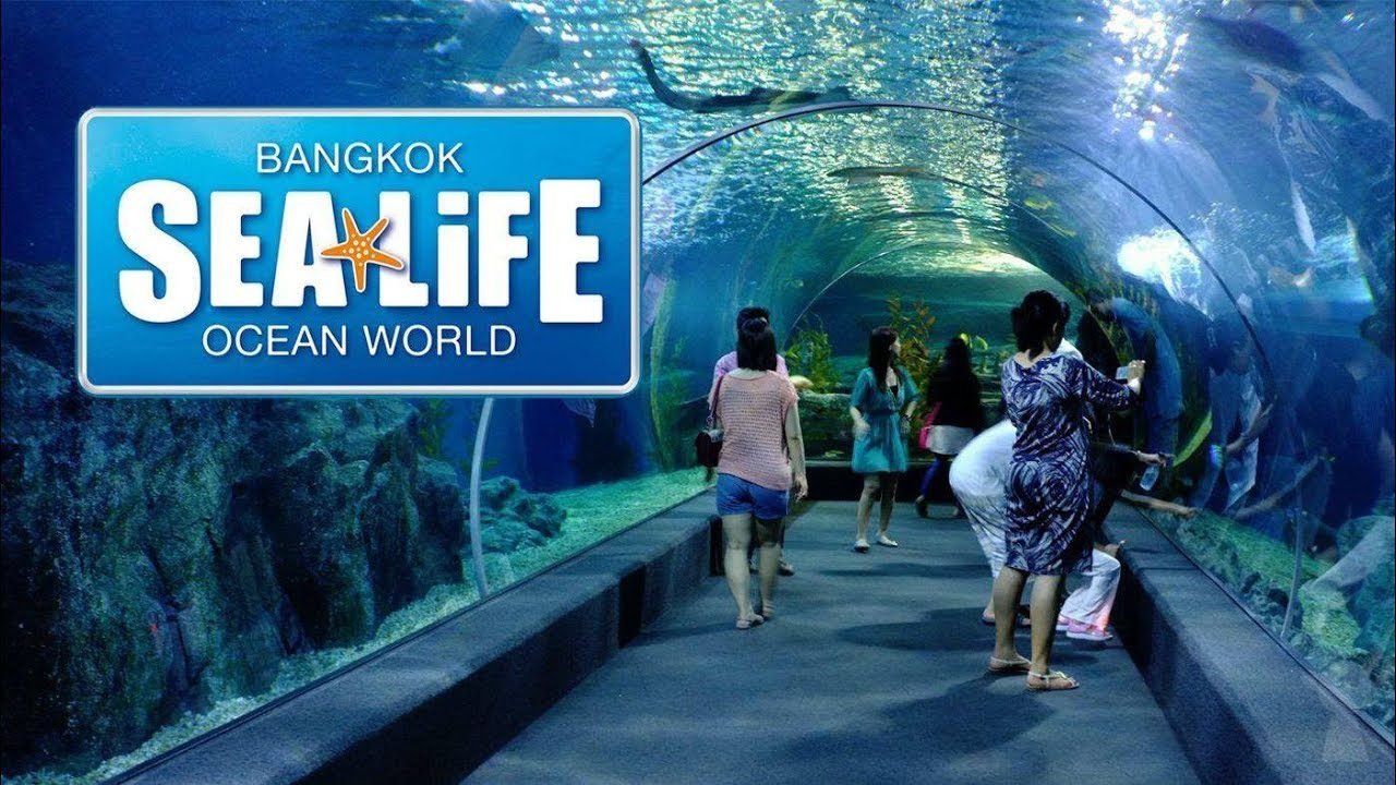 Sea Life Bangkok Ocean World, Bangkok