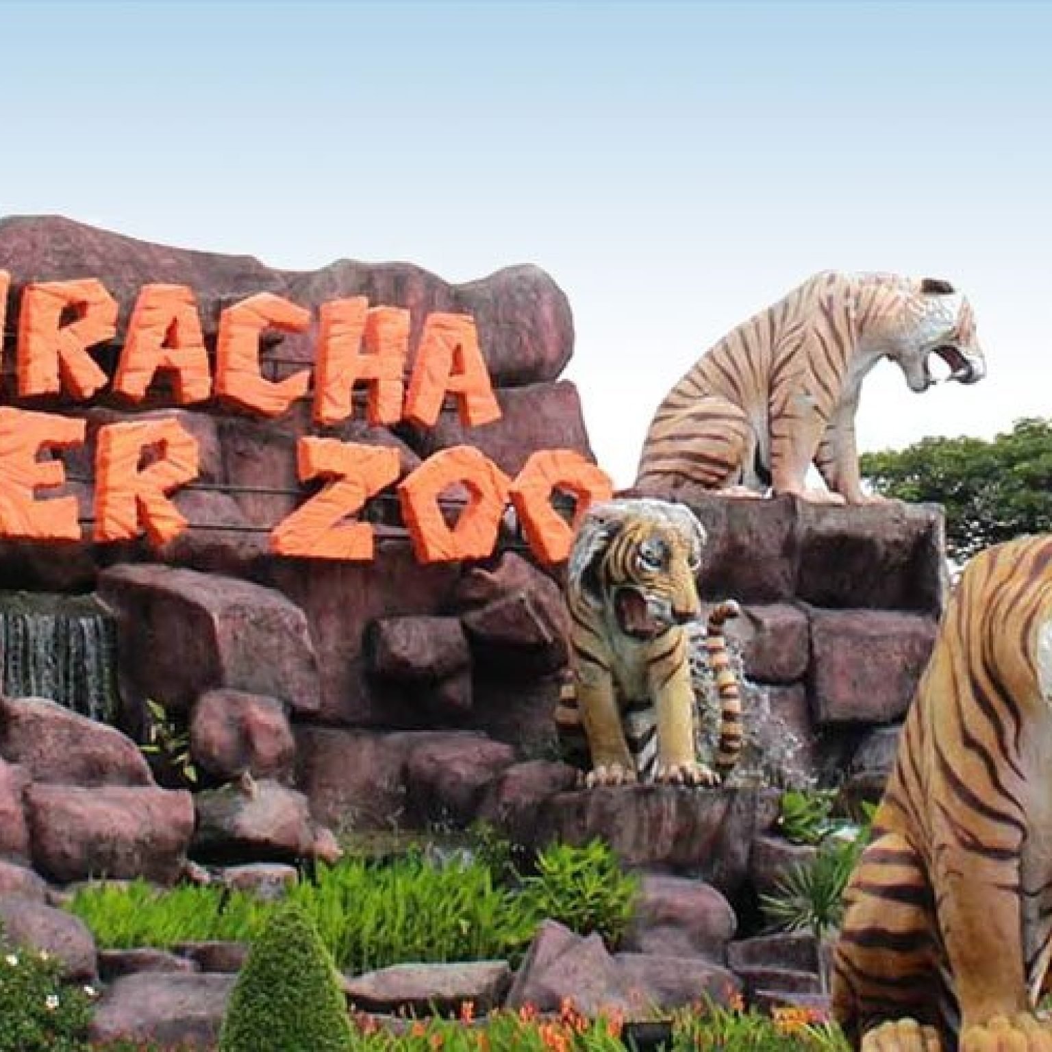 Sriracha-Tiger-Zoo-bangkok-Thailand