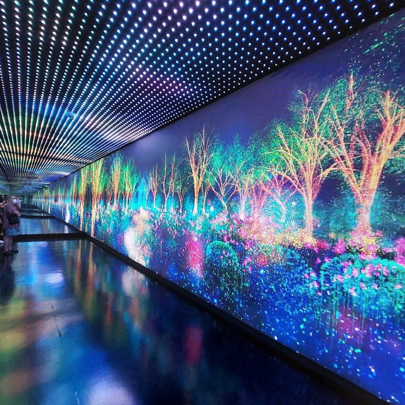 Time-capsule-singapore