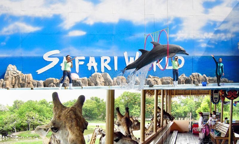 <span>Day 05</span>Safari World & Marine park (Dolphin show), Bangkok