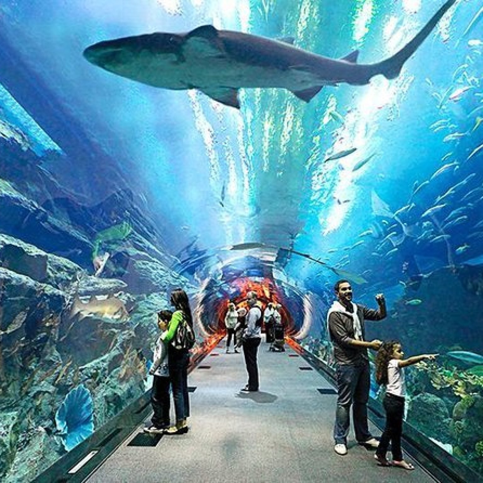 underwater-world-pattaya-Thailand