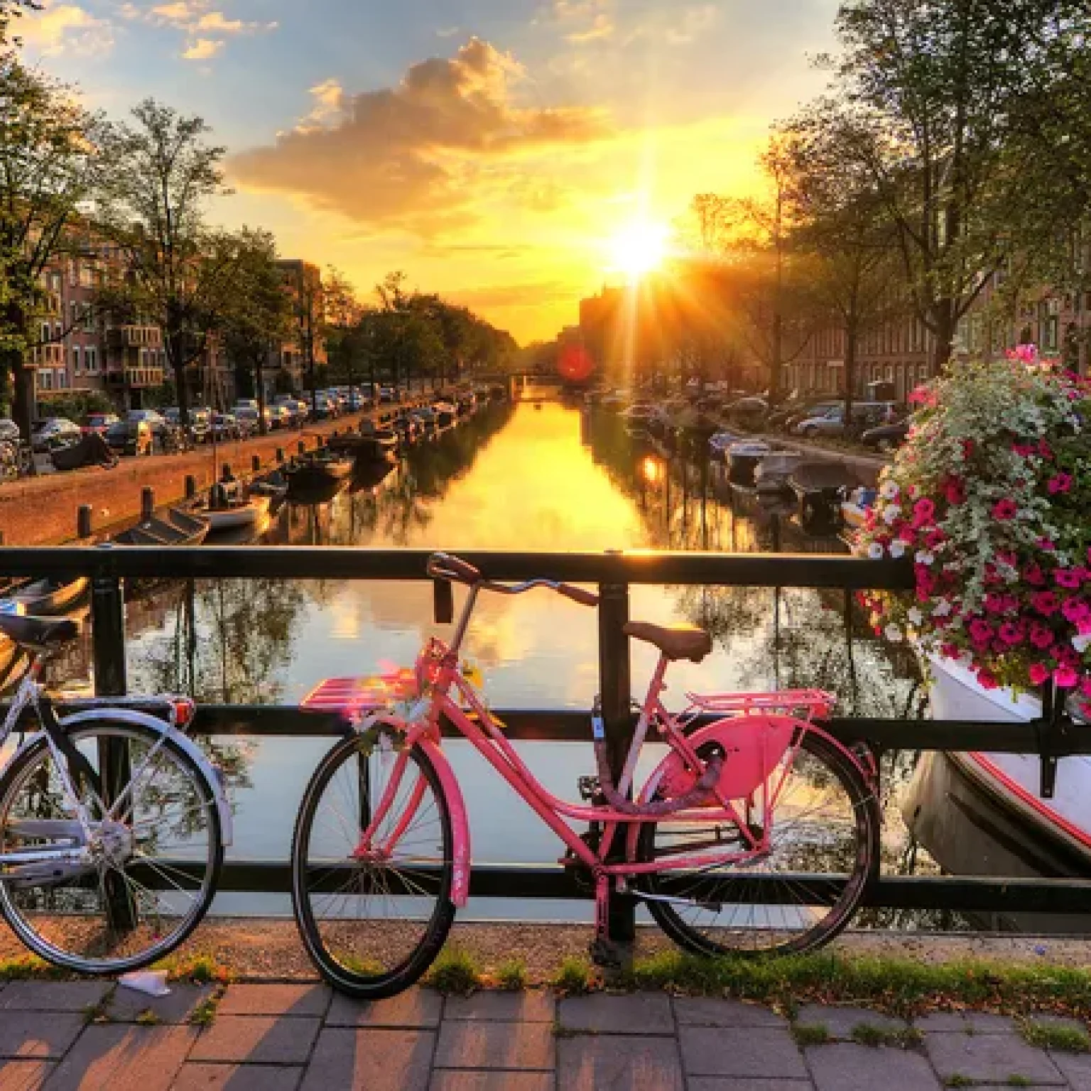 Bicycle-Amsterdam-Netherlands-Europe