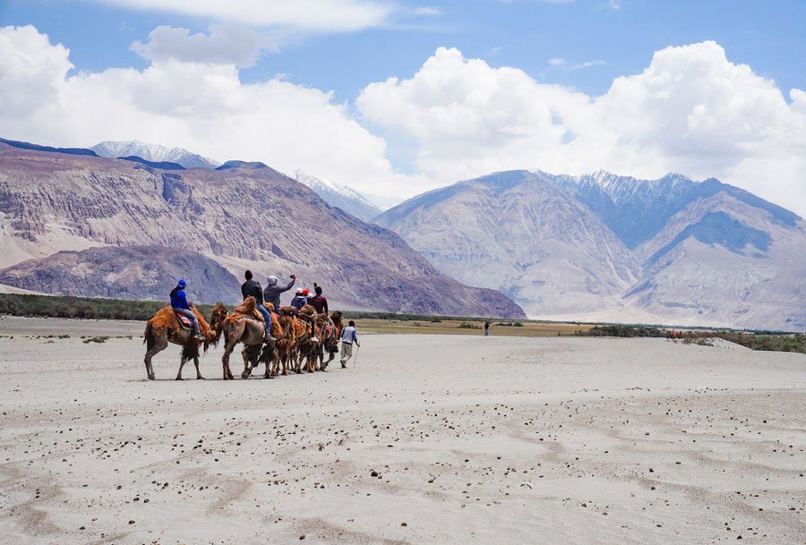 • White sand dunes at Hunder, Nubra (En-route Nubra-Pangong)