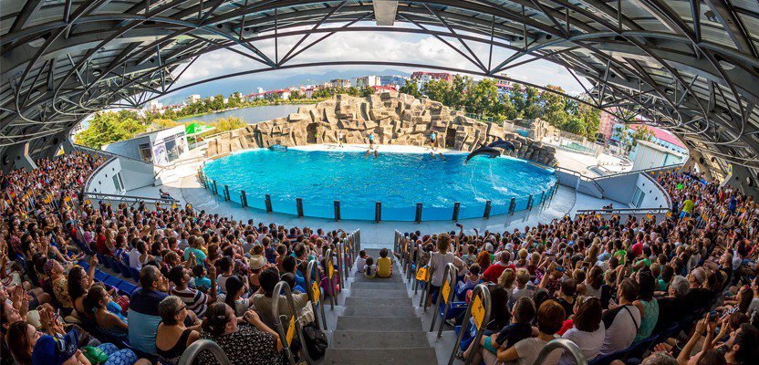 Batumi Dolphinarium