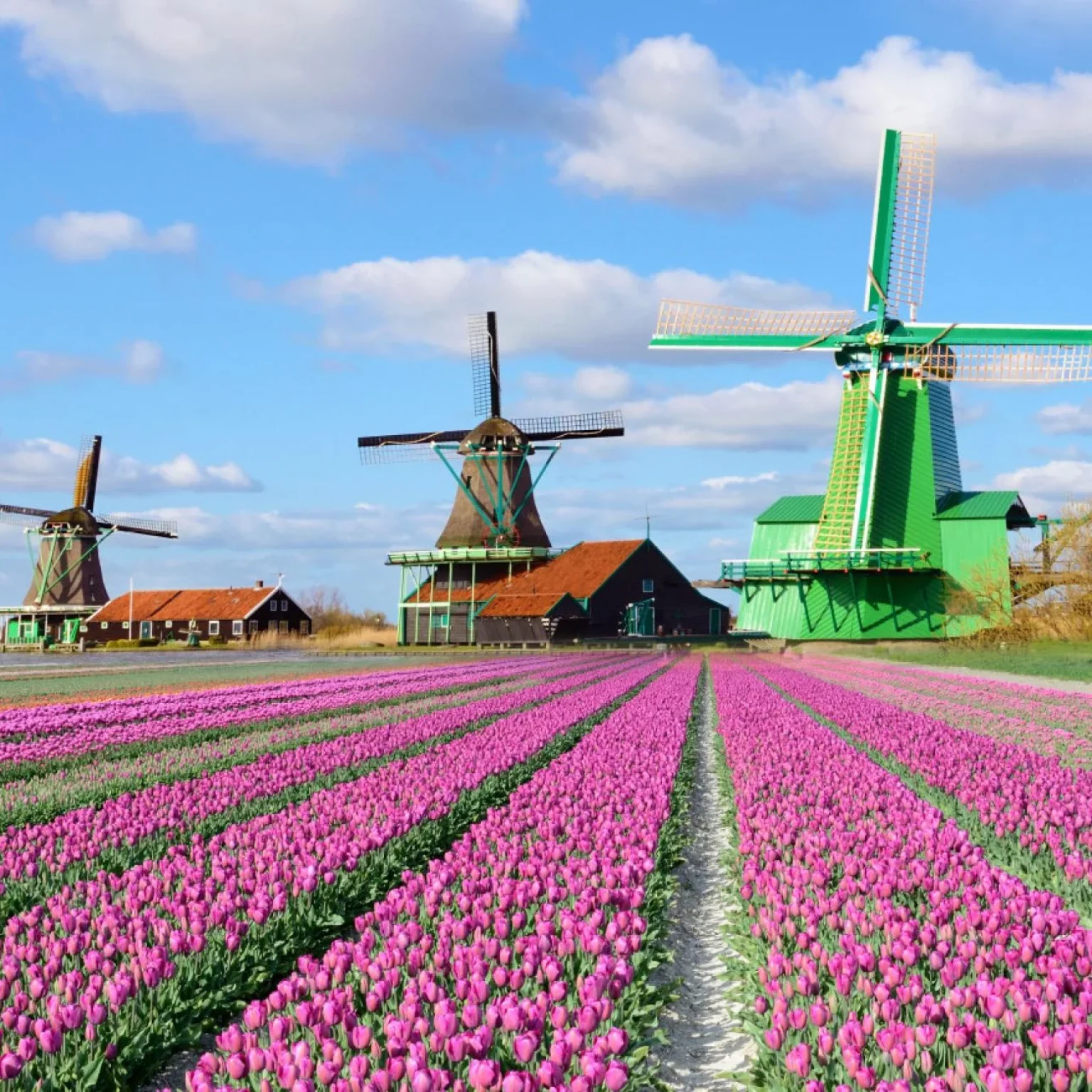 Zaanse-Schans-Windmill-amsterdam-netherlands-Europe