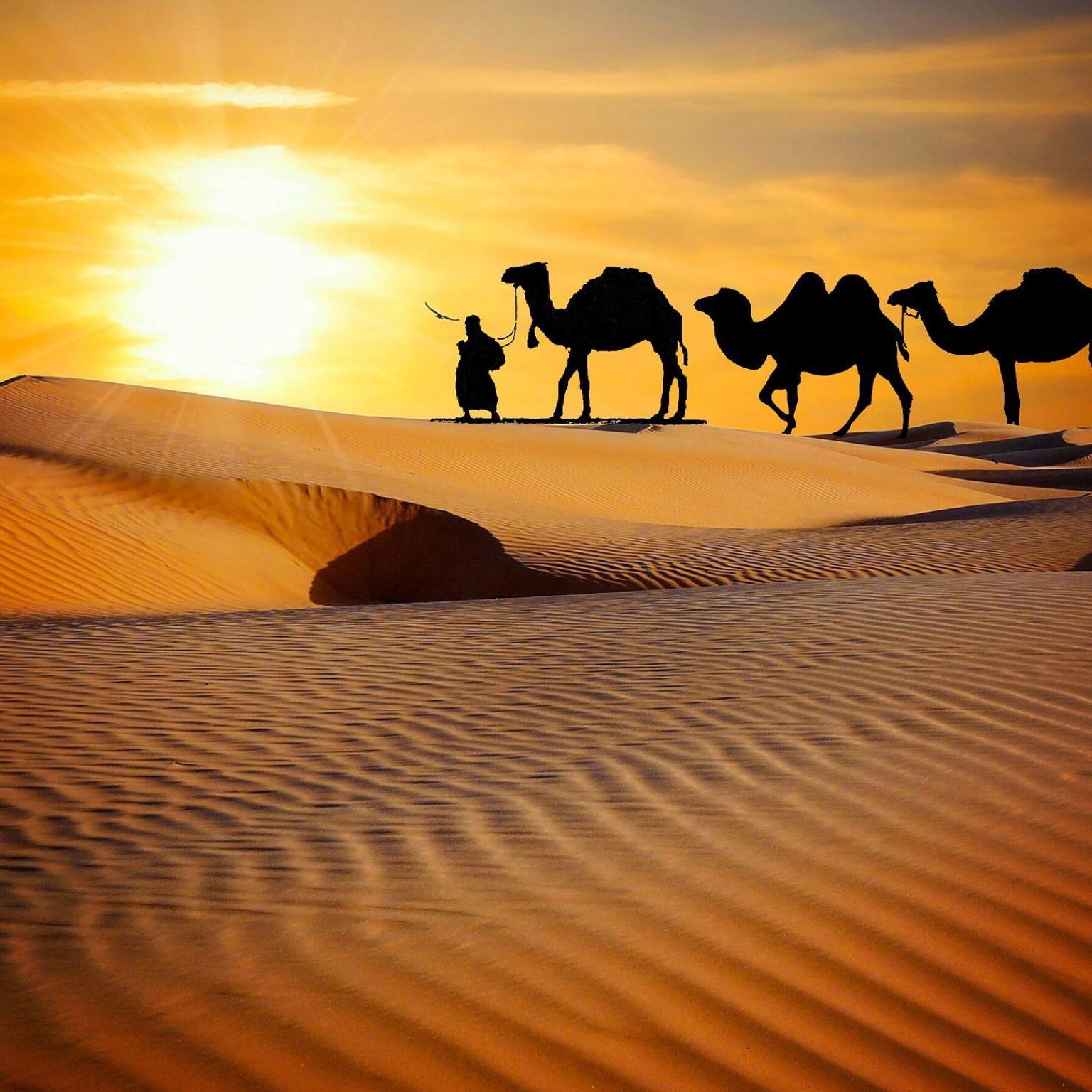 Jaisalmer-Sand-Dunes-Safari-Camel-Rajasthan