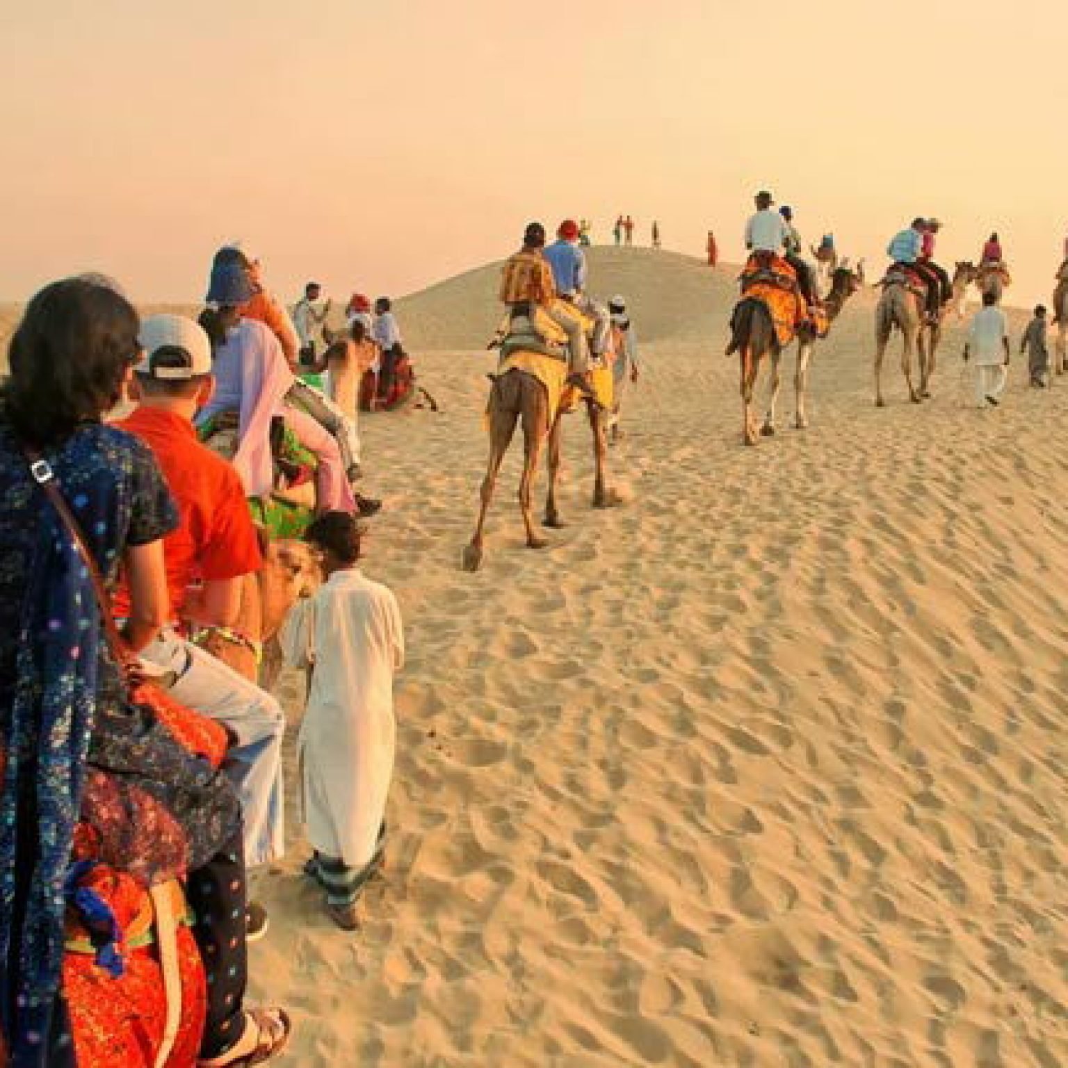 Rajasthan-Camel-Desert