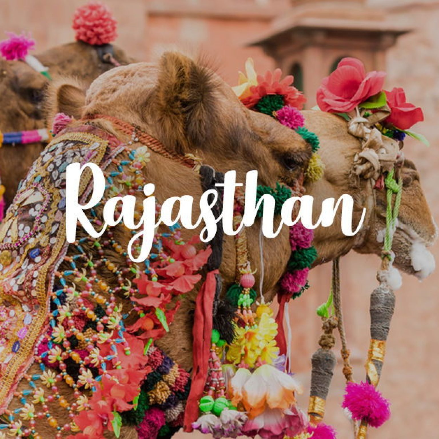 Rajasthan-tour