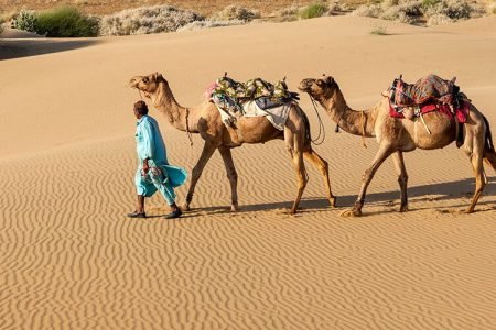 Rajasthan 9 Days – Jaipur Jaisalmer Jodhpur Udaipur – CQ31725N08