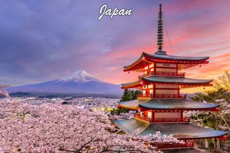Japan Blossom Trails – Tokyo 3N, Shizuoka 1N, Nagoya 1N, Kyoto 2N, Osaka 2N – 10 Days HB42925N0902/30