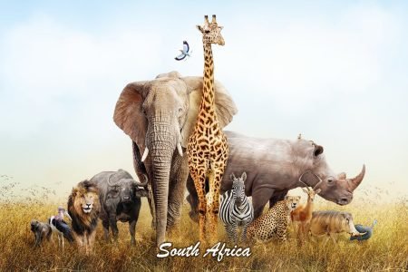 South Africa – 7 Days HB43506N06HB02-10