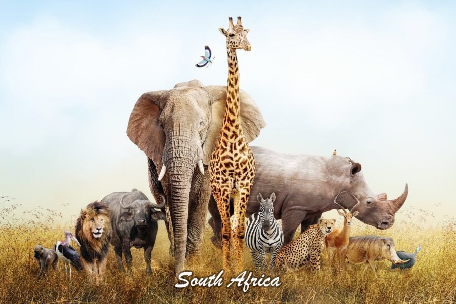 South Africa – 7 Days HB43506N06HB02-10