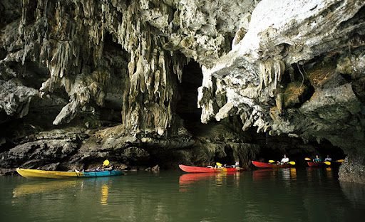  Mangrove & Cave Exploring