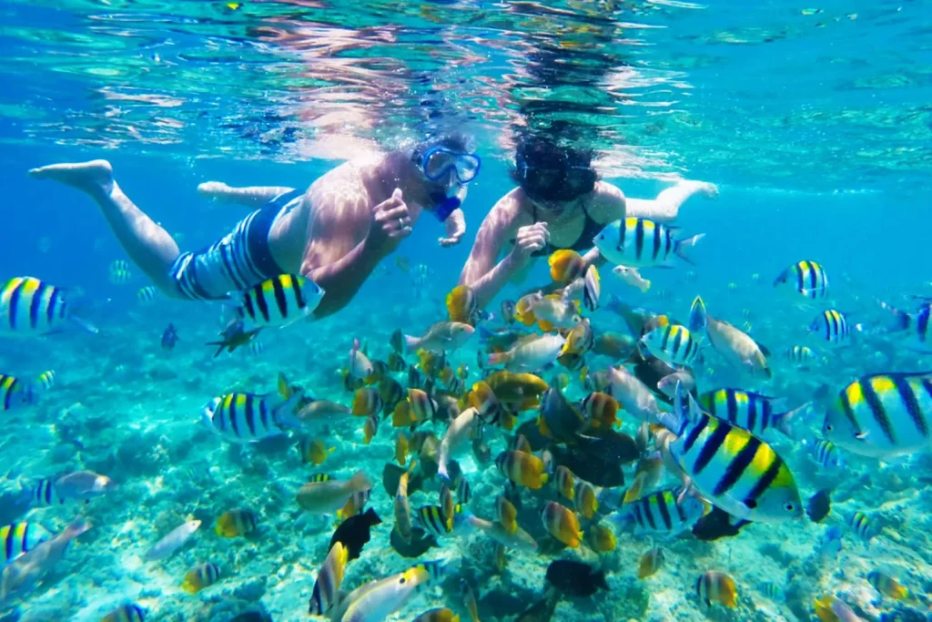 <span>Day 04</span>Snorkeling in Gili Trawangan
