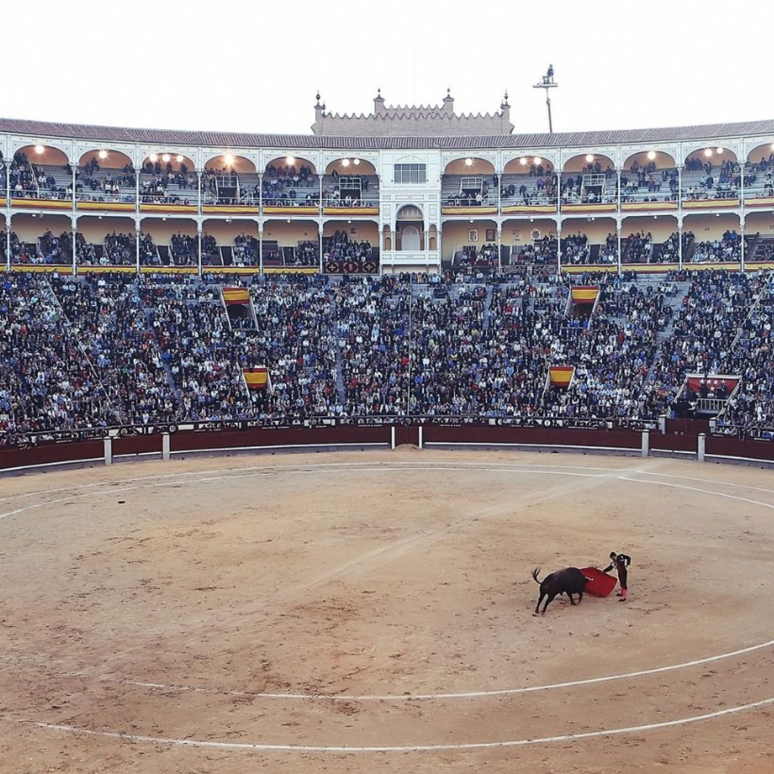 xr:d:DAF6moX-6E4:34,j:1710658655880159365,t:24012611