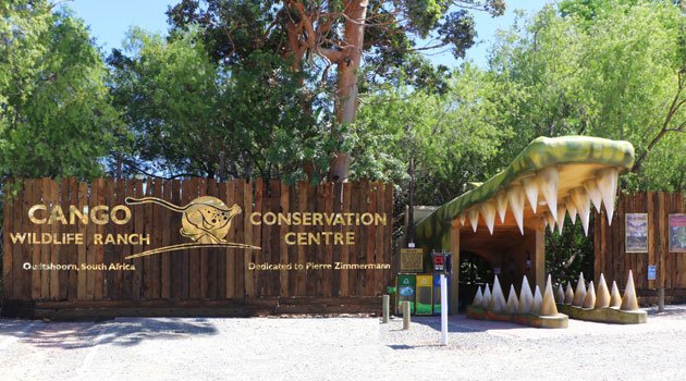 a) Cango Wildlife Ranch