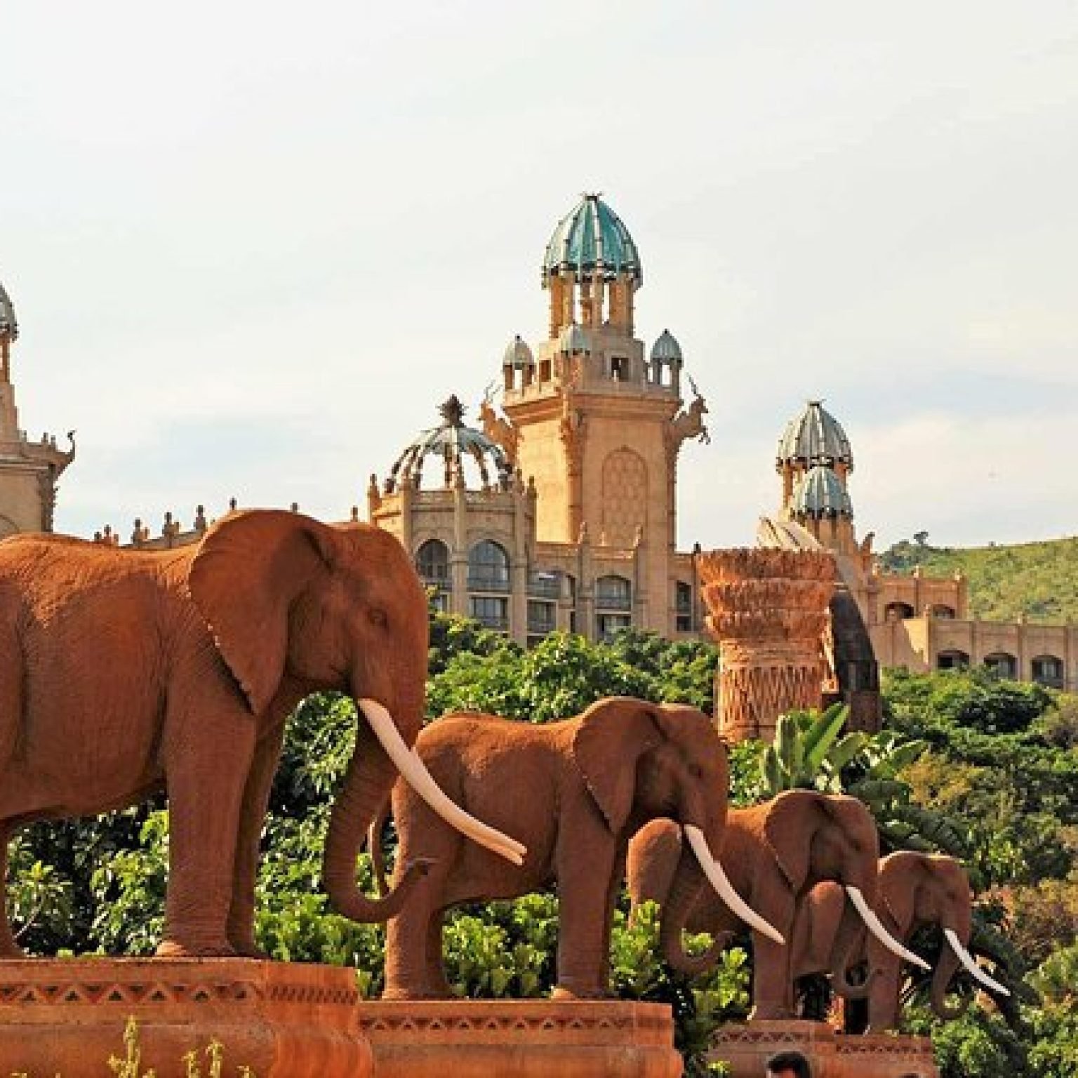 Pilanesberg National Park safari-Sun-city