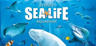 a) Sea Life Sydney Aquarium 