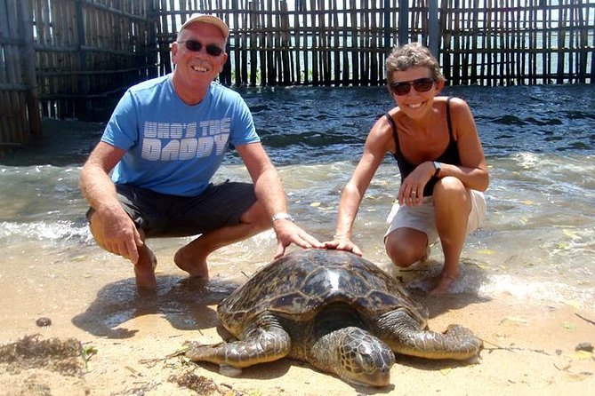 Turtle island using glass bottom boat