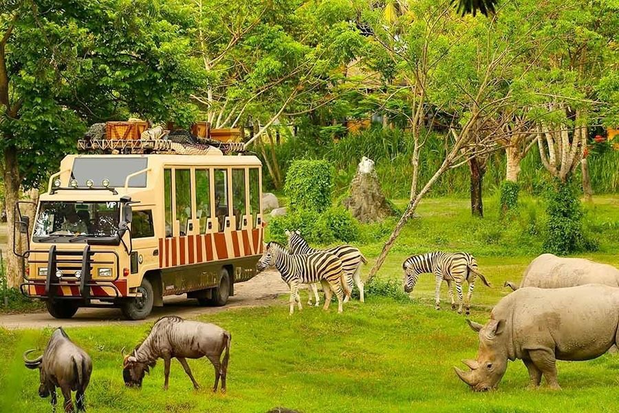 <span>Day 09</span>Visit Vin Safari - Vin Wonder